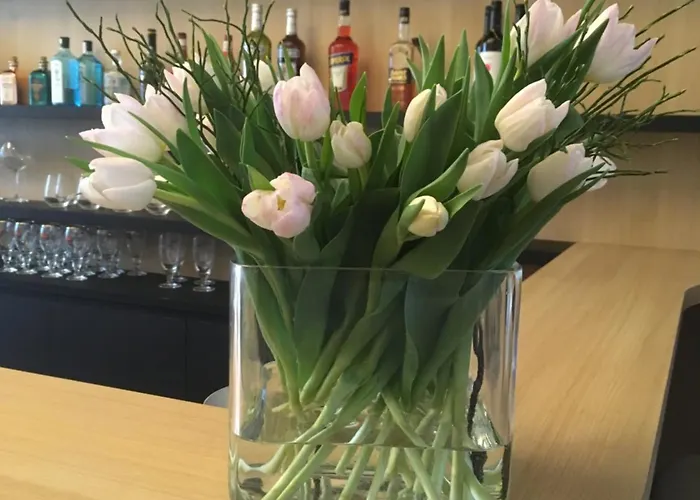 Louisa Hotel Ostenda