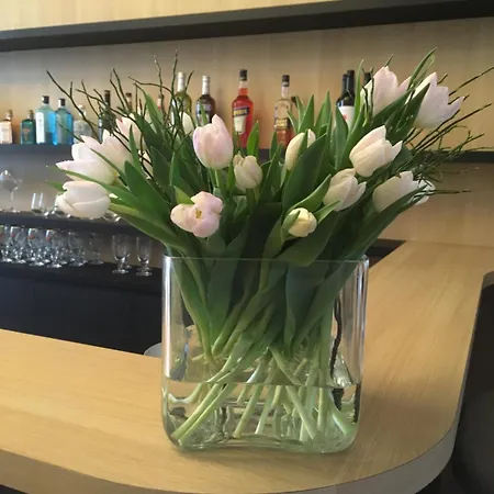 Louisa מלון אוסטנדה